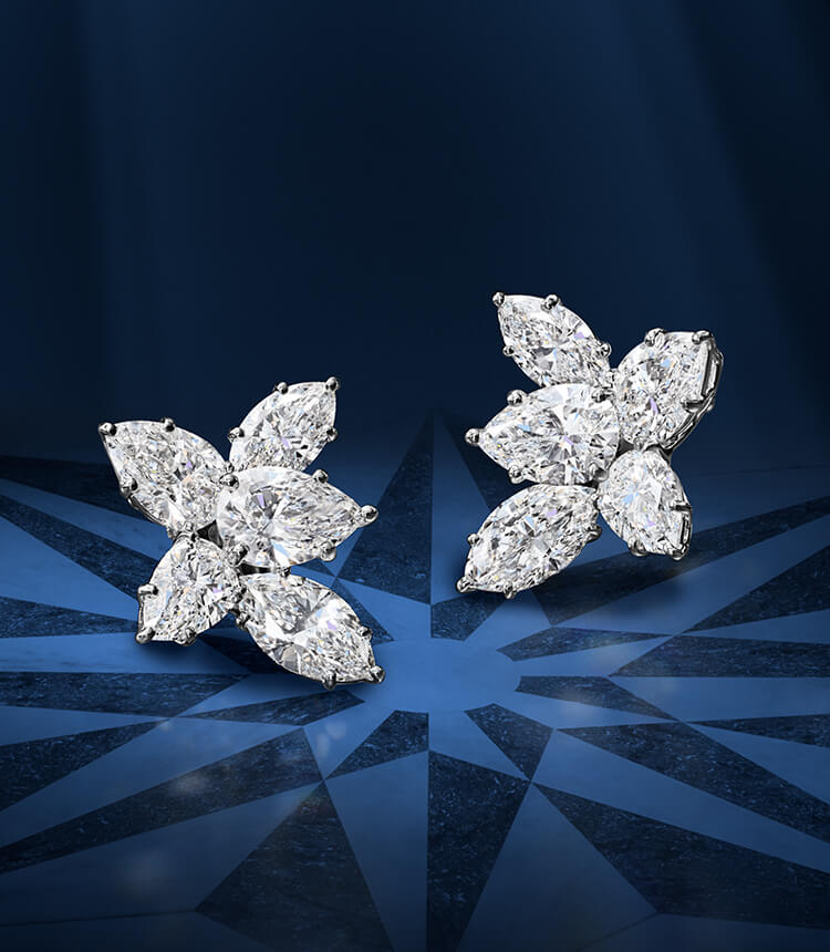 Sparkling Cluster Diamond Earrings  Harry Winston