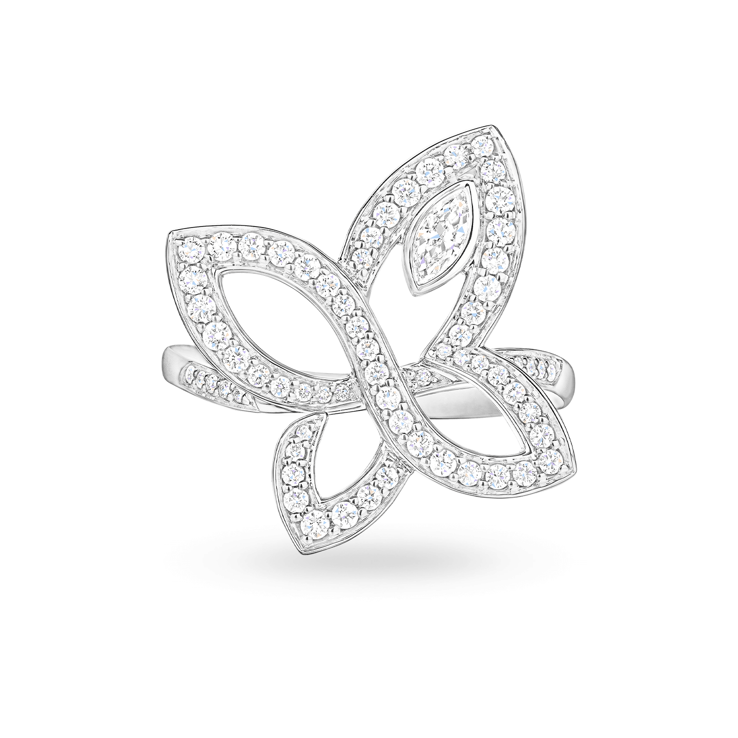 Infinite Lily Cluster Ring