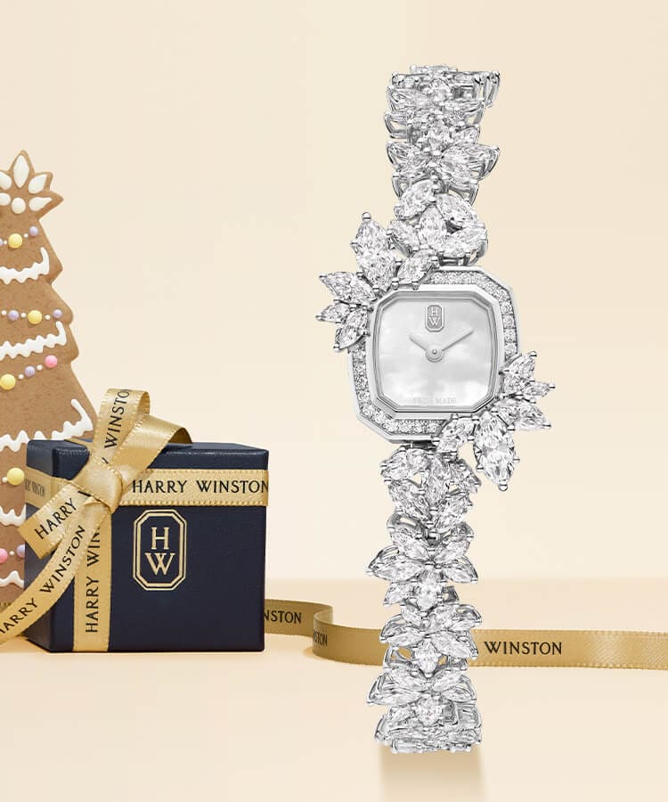 Harry winston rare timepieces store